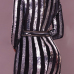 Euramerican Round Neck Sequined Decorative Striped Silver Polyester Mini Dress