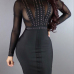 Sexy Turtleneck Long Sleeves Net Yarn Splicing Black Sheath Knee Length Dress