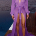 Euramerican Long Sleeves Lace-up Purple Chiffon Cover-Ups