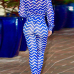 Euramerican Striped Printed Blue Healthy Fabric Two-piece Pants Set