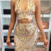 Sexy Hollow-out Golden Polyester Two-piece Skirt Set