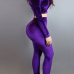 Stylish Bateau Neck Long Sleeves Purple Velvet Two-piece Pants Set